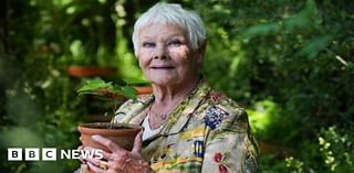 Dame Judi Dench made patron of Yorkshire eyesight loss fund