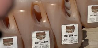 Prince Gallitzin State Park hosts annual apple cider festival