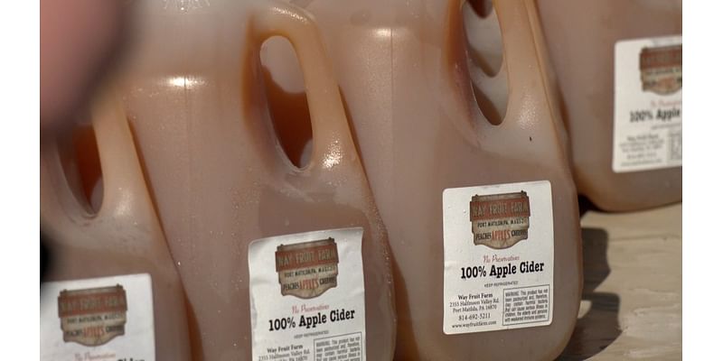 Prince Gallitzin State Park hosts annual apple cider festival