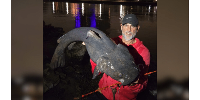 Fisherman wrangles massive catfish in downtown Wichita