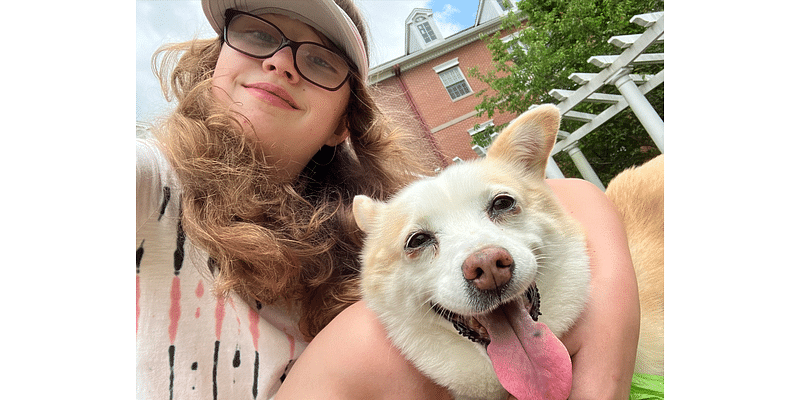 Girl Scout From Livingston Is Speaking Up For Older Dogs