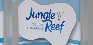 Jungle Reef passes latest USDA inspection