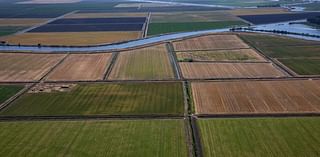 Groundwater pumping is making California’s San Joaquin Valley sink about an inch per year: Study