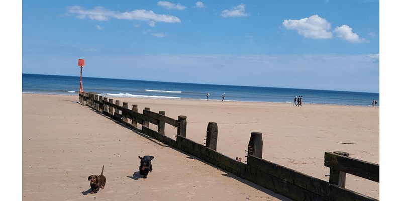 Repairs for storm-damaged coastal structures