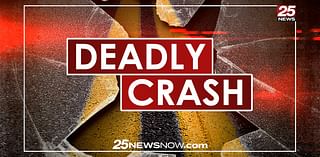 Man who died in wrong way crash on I-74 near Morton is identified