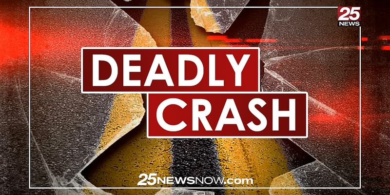 Man who died in wrong way crash on I-74 near Morton is identified