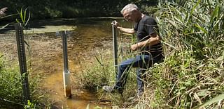 In 'bird city' Homewood, toxic chemicals found at nature preserve