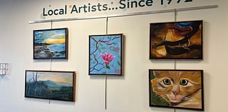 IAA Credit Union announces artist of the quarter