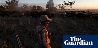 ‘I lost my phone in the first week’: a new generation of drovers in outback Queensland