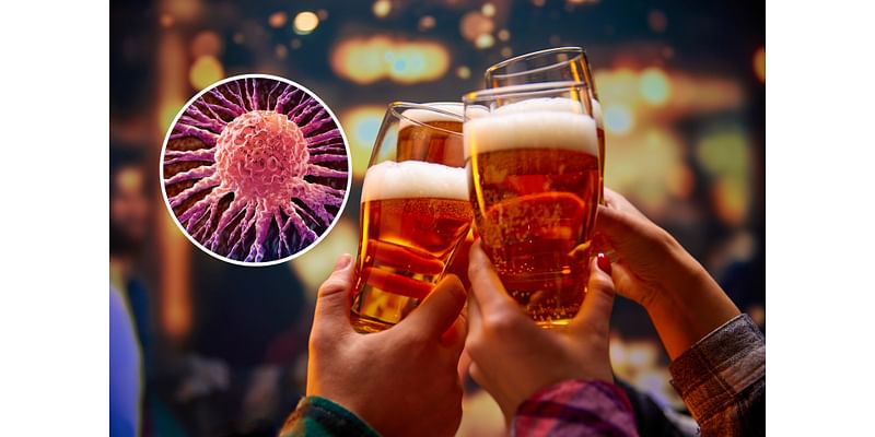 Surprising Beer Discovery Could Help Starve Cancer