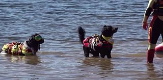 3rd Annual Bark in the Park in Schuylkill County