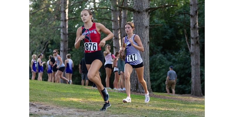 Minnesota girls cross country polls