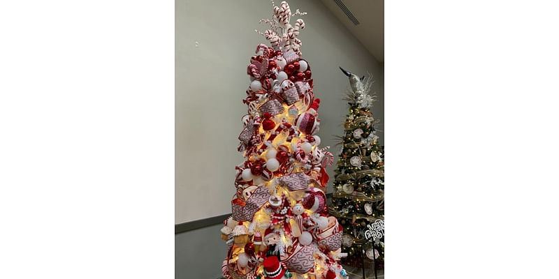 Festival of Trees making spirits bright for families in need