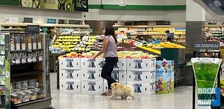 Dogs Again Seen In Boca Raton Area Supermarkets, Restaurants