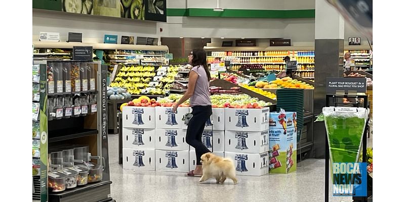 Dogs Again Seen In Boca Raton Area Supermarkets, Restaurants