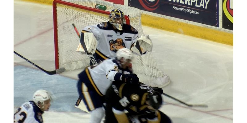 Otters top Kingston 2-1 in overtime