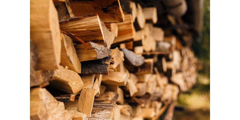 Free firewood available for Mora, San Miguel County residents