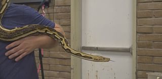 Central States Fairgrounds hosts reptile expo