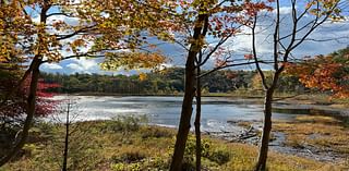 Hike under the Hunter’s Moon to Muskegon’s Lost Lake