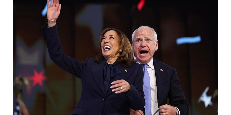 'Doomed': Experts say this crucial campaign decision led to VP Harris' 'disastrous' defeat