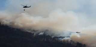 Massachusetts Man Arrested in Connection to Setting a Series of Brush Fires