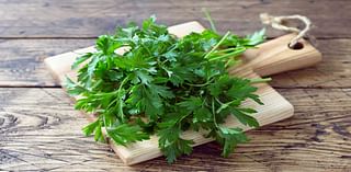 Parsley vs. Cilantro: What's the Difference?