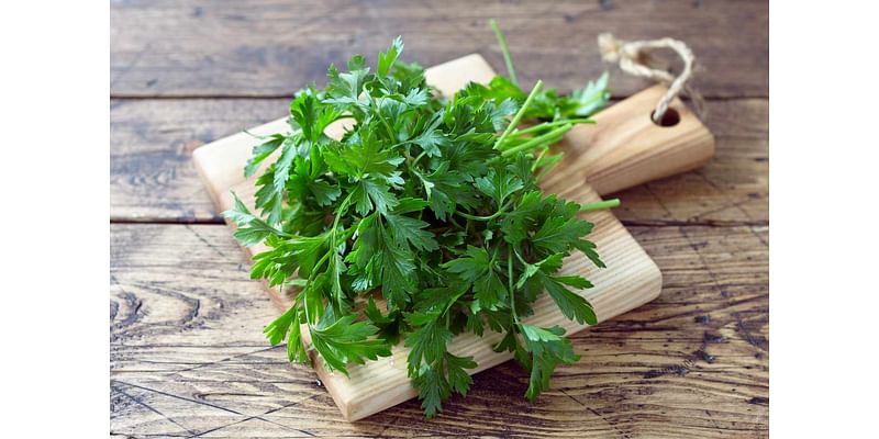 Parsley vs. Cilantro: What's the Difference?