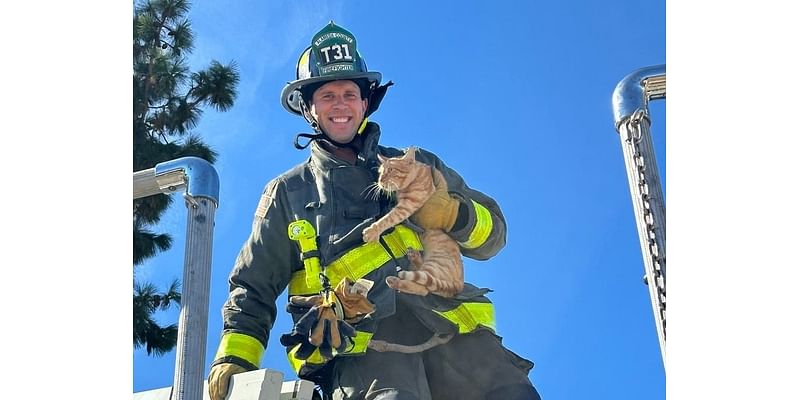 Former First Lady Visits Costco + Cat Rescued: Saturday Smiles