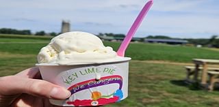 Limited Edition Ice Cream Benefits Sick Children Through We Cancerve Movement