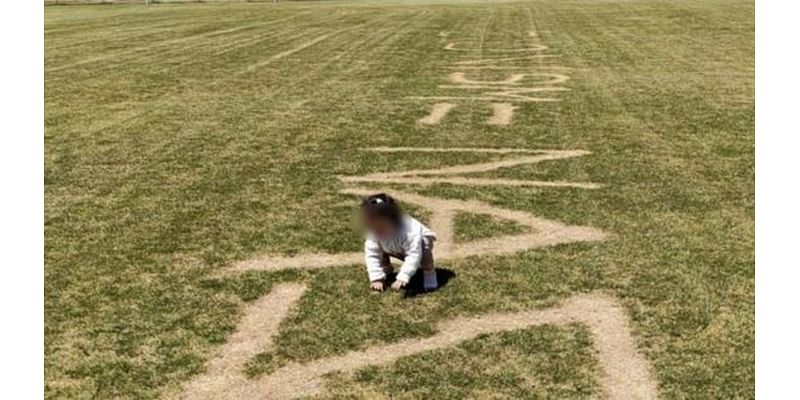 Jewish group slams anti-semitic graffiti mowed into grass on a Melbourne sporting field