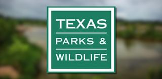 TPWD announces the Big Time Texas Hunt winners