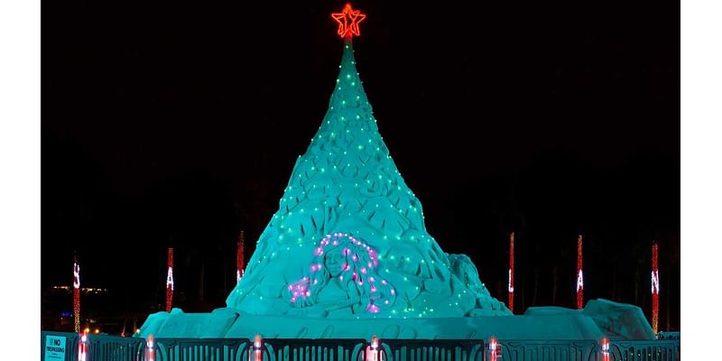 Sandi Tree returns with a new theme for the 2024 holiday season