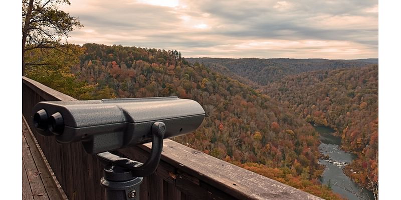 Vandals destroy viewfinder for colorblind visitors allowing them to see fall foliage at national park