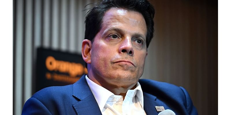 Anthony Scaramucci says he is 'working alongside' Kamala Harris on her campaign's crypto policies