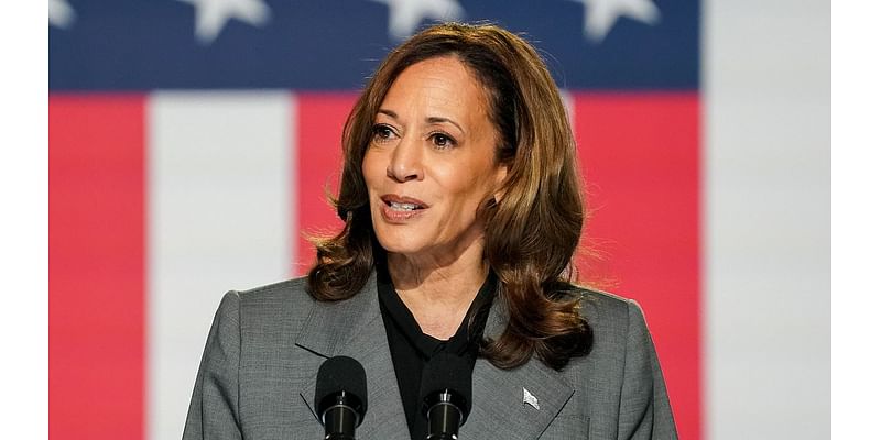 Moment Kamala Harris does IMPRESSION of Donald Trump at rally. Do you think she pulled it off?