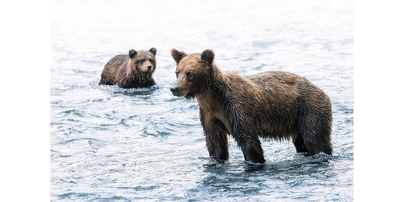 5 autumnal adventures in Campbell River, Canada