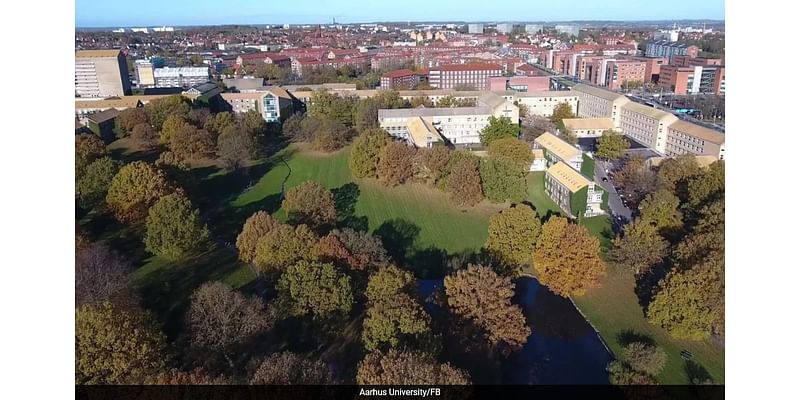 Denmark University Offers Scholarships Up To Rs 13 Lakh For Master's Degree