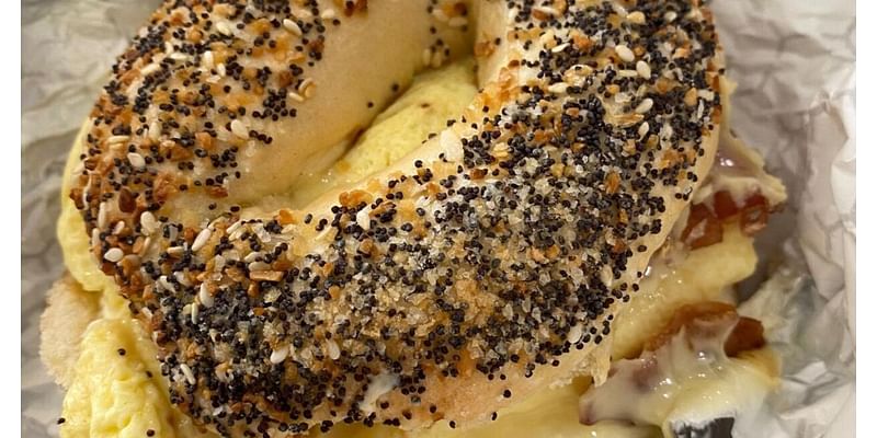 Food Review: You 'knead' to check out Bagel Boutique in Silver Spring Township