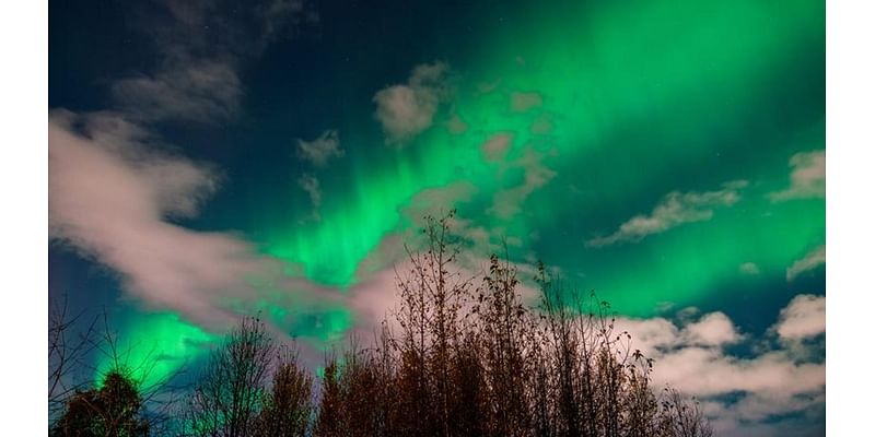 Northern Lights Forecast: Aurora Borealis Could Be Visible In These States Tonight