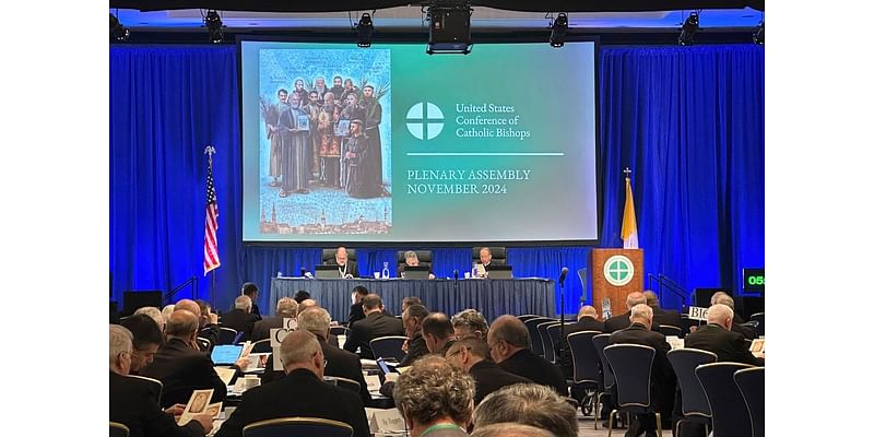 Catholic bishops seek to highlight contentious teachings on abortion, surrogacy, gender surgery