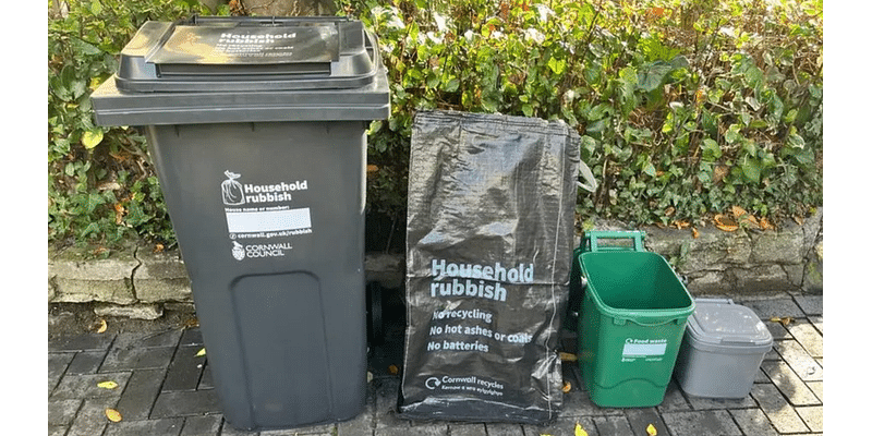 New rubbish collection has had issues - councillor