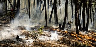 For a decade, a northern California program has built prescribed fire capacity informed by Indigenous tradition