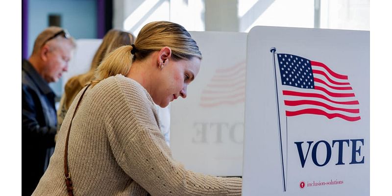 Election 2024: Disinformation Didn't Keep Voters From the Polls