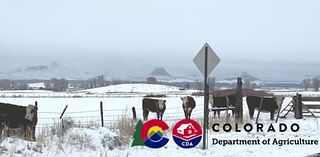 Tips to keep livestock healthy during Colorado’s winter storm