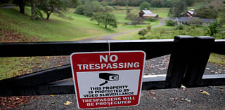 Northeast towns are getting overrun by 'leaf peepers' and it's driving the locals crazy