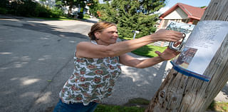 Bobcat found near Bangor neighborhood didn’t kill all the missing cats, experts say