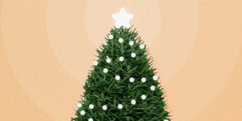 The 7 best places to buy real Christmas trees online in 2024