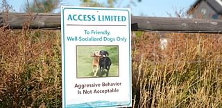 Pet owners say off-leash dogs are creating issues for the Bozeman community