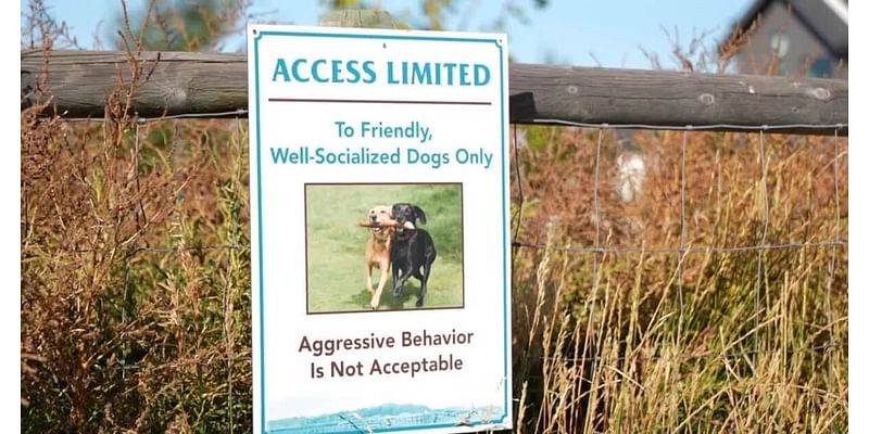 Pet owners say off-leash dogs are creating issues for the Bozeman community