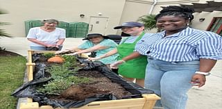 From Seed to Table